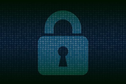 security, cyber, internet-4907127.jpg